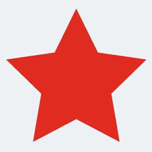 Icon Icon