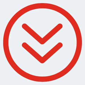 Icon Icon