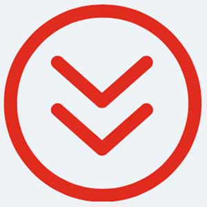 icon icon